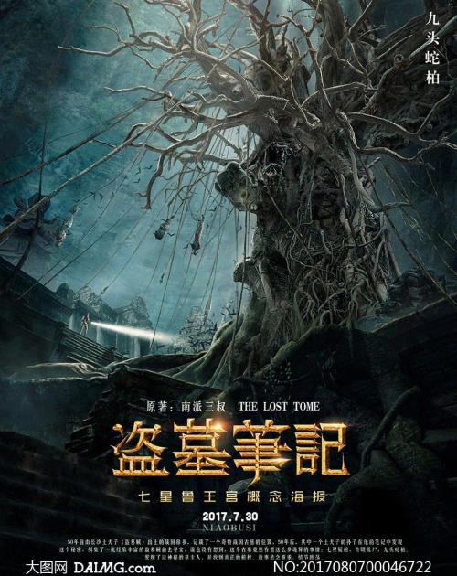 泰拉迪拉学院学士证书
